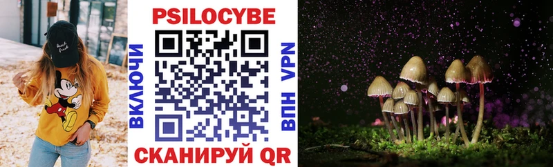 Галлюциногенные грибы Psilocybine cubensis  Городовиковск 